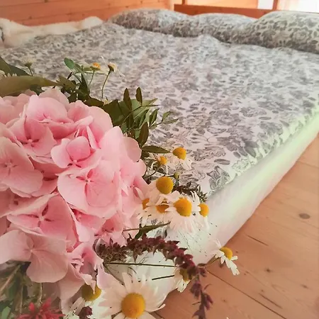 Apartment Velky Cihlarka Cerny Dul