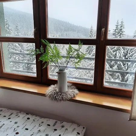 Apartment Velky Cihlarka Cerny Dul